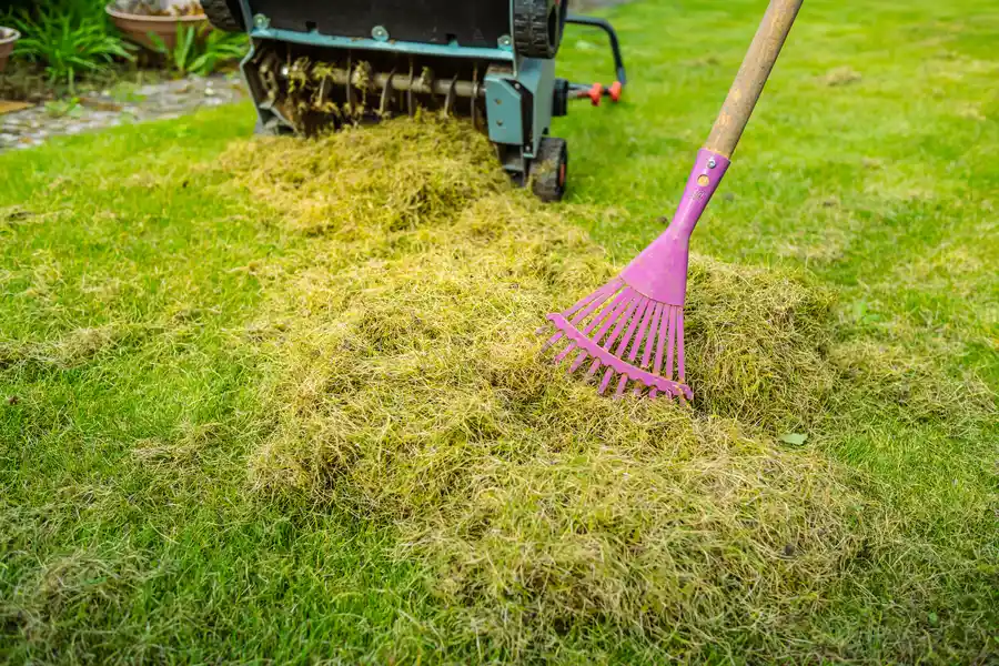 Affordable Yard Maintenance Makawao, HI Affordable Yard Maintenance Makawao, HI