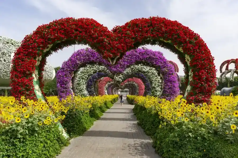 Excellent Landscape Installation Makawao, HI Excellent Landscape Installation Makawao, HI
