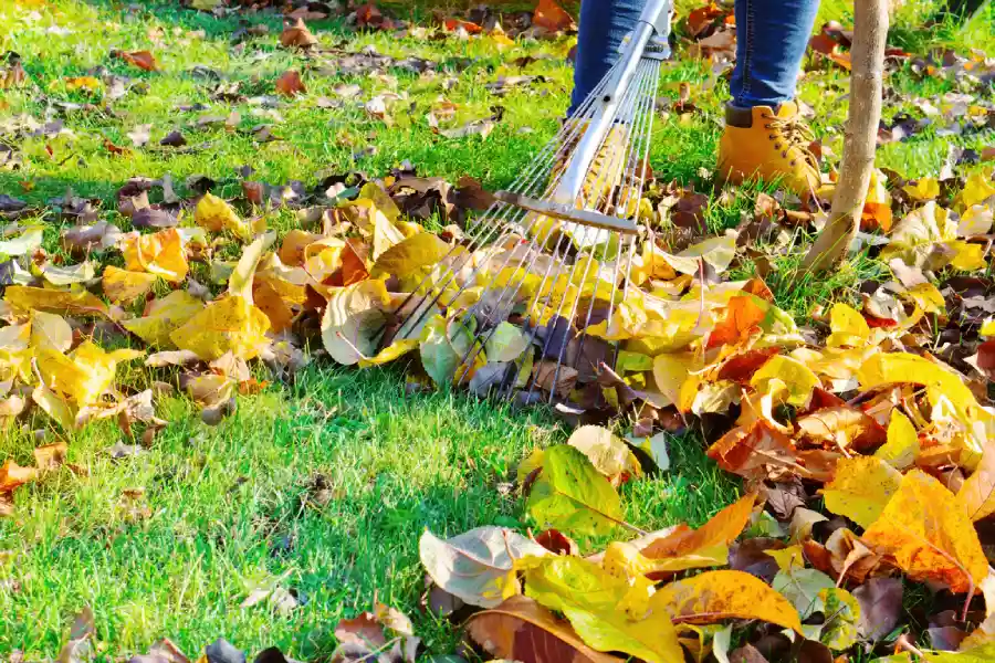 How To Create A Low-maintenance Yard Without Sacrificing Beauty Makawao, HI How To Create A Low-maintenance Yard Without Sacrificing Beauty Makawao, HI