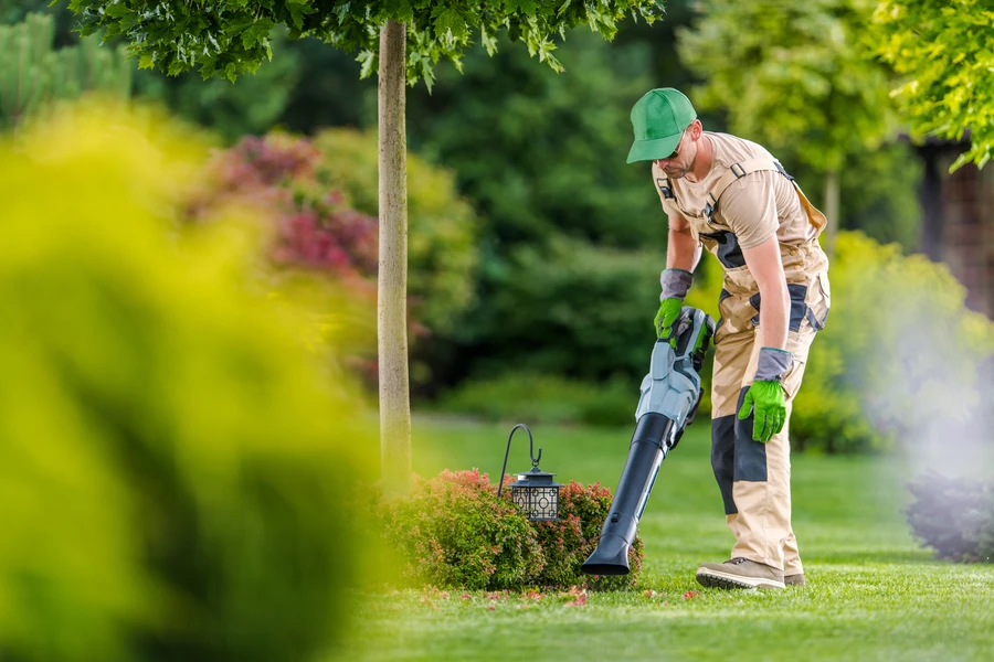 How To Create A Low-maintenance Yard Without Sacrificing Beauty in Makawao, HI How To Create A Low-maintenance Yard Without Sacrificing Beauty in Makawao, HI
