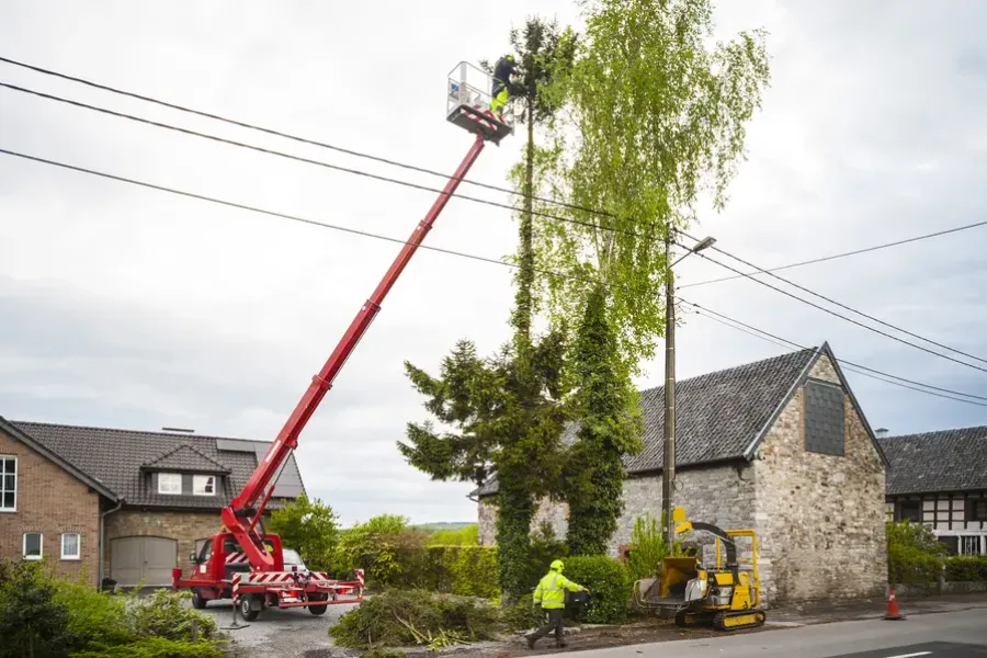 How Tree Trimming Service Prevents Property Damage in Makawao, HI How Tree Trimming Service Prevents Property Damage in Makawao, HI