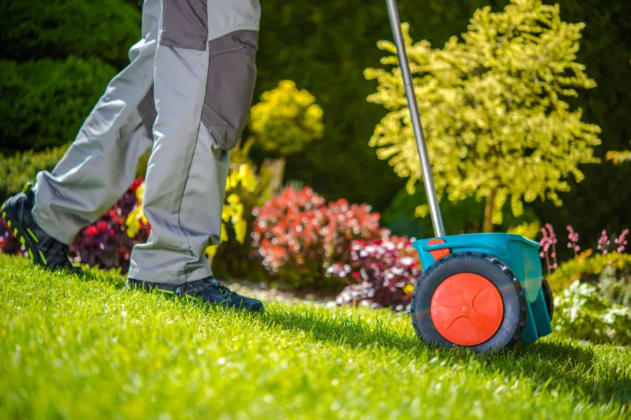 Local Yard Maintenance Makawao, HI Local Yard Maintenance Makawao, HI