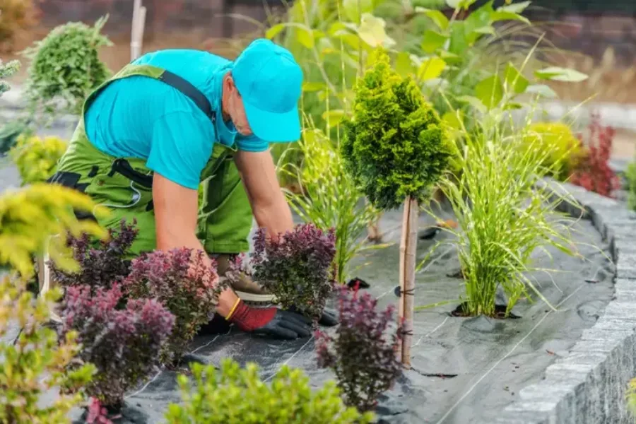 Premium Lawn Maintenance Service Makawao, HI Premium Lawn Maintenance Service Makawao, HI