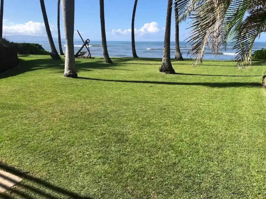 Professional Landscape Company in Makawao, HI Professional Landscape Company in Makawao, HI