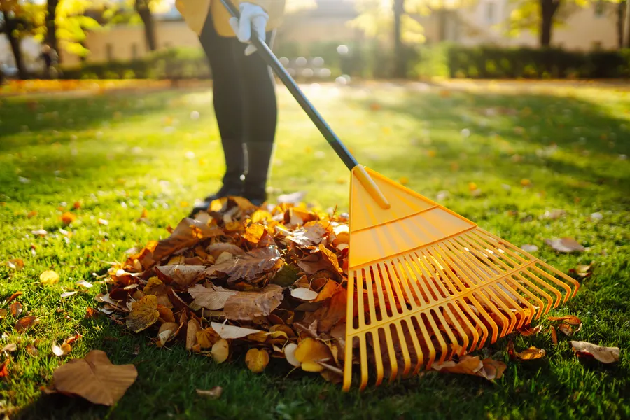 Reliable Yard Maintenance Makawao, HI Reliable Yard Maintenance Makawao, HI