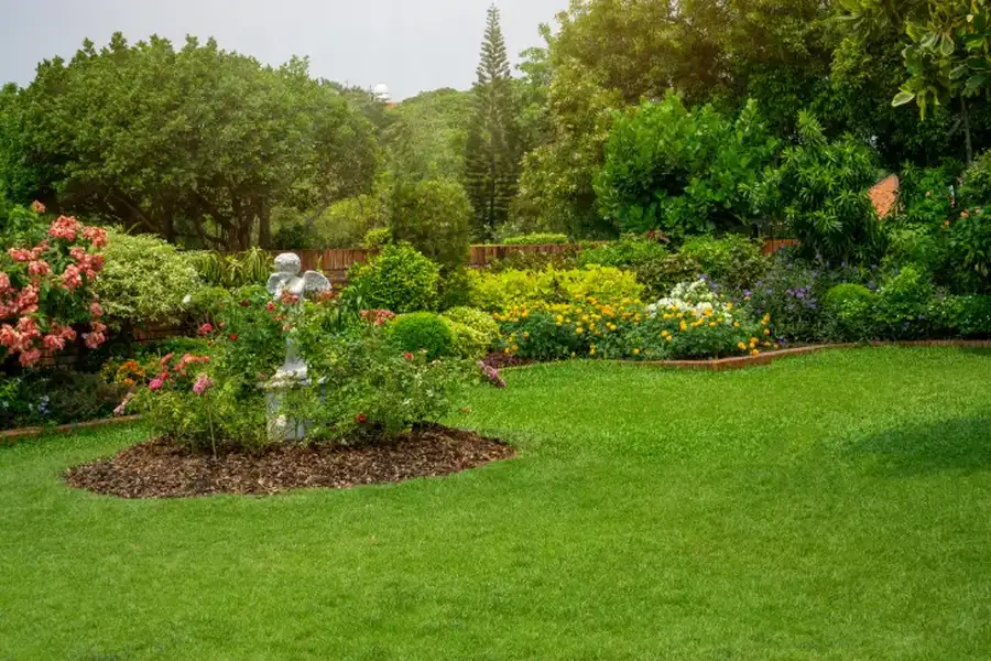 Signs Your Lawn Needs Professional Maintenance in Makawao, HI Signs Your Lawn Needs Professional Maintenance in Makawao, HI