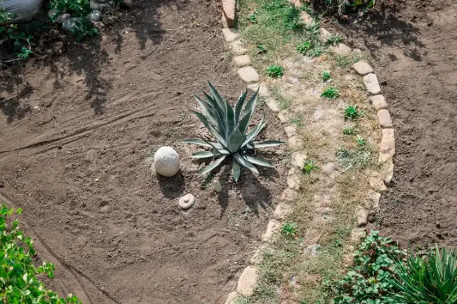Step-by-step Process Of A Successful Landscape Installation Makawao, HI Step-by-step Process Of A Successful Landscape Installation Makawao, HI