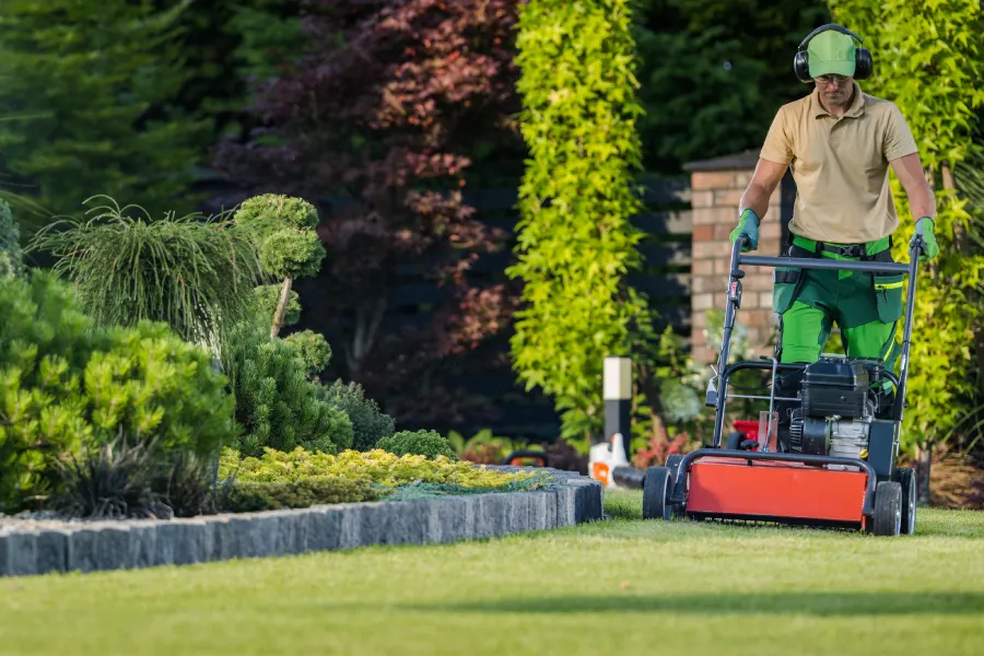 The Benefits Of Professional Yard Maintenance Services Makawao, HI The Benefits Of Professional Yard Maintenance Services Makawao, HI