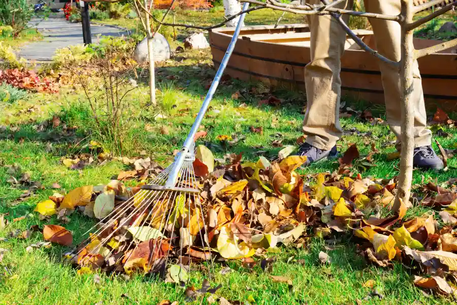 The Benefits Of Professional Yard Maintenance Services in Makawao, HI The Benefits Of Professional Yard Maintenance Services in Makawao, HI