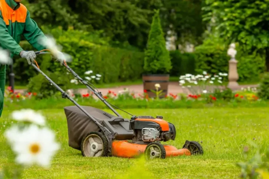 Top-rated Lawn Maintenance Service Makawao, HI Top-rated Lawn Maintenance Service Makawao, HI